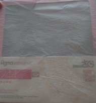 Figma 244 Sakura 木之本櫻