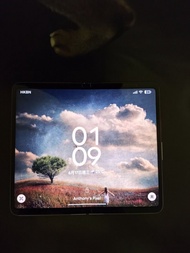 Google Pixel Fold 手機連保護殼