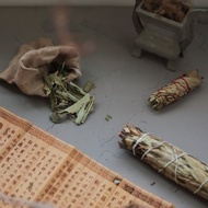 北美聖草 Yerba santa 瑪黛聖誕老人聖草 聖巴拉草 大小捆 錐香