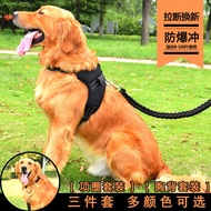 Dog Hand Holding Rope Golden Retriever Dog Chain Medium Large Dog Breast Strap Vest-Style Husky Jarre Aero Bull Walking Dog