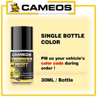 Customize Color - Single Bottle Color - Touch Up Paint - Automotive Paint - CAMEOS 30ML/Bottle