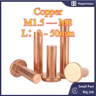 Copper countersunk head rivets GB869 percussion type flat head flat cone head solid rivets Copper d 