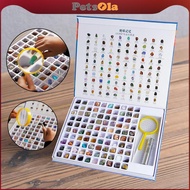[PETSOLA] Kids Gemstone Crystal Kit Magnifying Glass Rock Book Stem Geology Education Rock