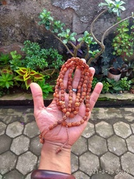 Grosir 10pcs / 1pcs tasbih 99 biji bidara arab SIDR asli | bukan jenitri | tasbih ruqyah | tasbih bidara