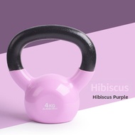 Home & Gym Fitness Competition Cast Iron Kettlebell 4kg