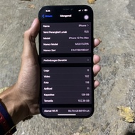 iphone 12 pro max 128gb (soldout)
