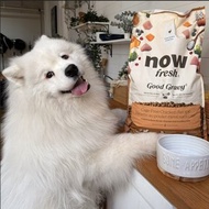 【狗主食】now 雞肉 中型成犬 高湯天然糧 乾濕兩吃 狗飼料 狗糧