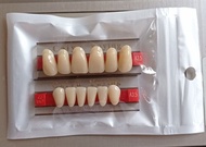 New GIGI PALSU CAIYU ANTERIOR UKURAN JUMBO no. 501/503 - DEPAN ATAS &