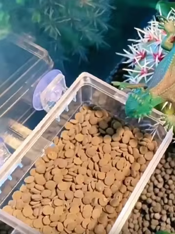 1pc-Crawler anti escape feeder, water basin anti escape pet feeder, suitable for turtles and lizards