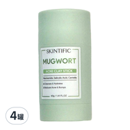 SKINTIFIC 艾草淨化毛孔泥膜棒 40g