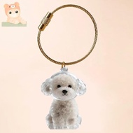 Memorial Bottle for Pet Hair, Hair Keepsake Fur Necklace Keychain