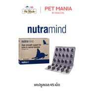 Nutramind supplement high strength support brain & mental function for dogs & cats 45 gel capsules เ