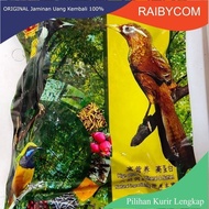 CHUNGHWA VOER CUCAK ROWO BIRD GACOR CUCAK RAWA MENTAL ROYAL GACOR