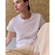 AMR DE SAISON (AIMER)-Cotton Organic Slimfit T-shirt