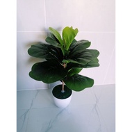 fiddle fig artificial plant pokok hiasan for Home