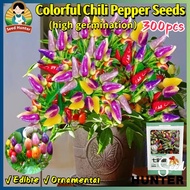 High Yield Bolivian Rainbow Colorful Chili Pepper Seeds for Planting Vegetables (300pcs) Edible Pepp