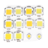 FAMY 1pc cob led light dc led bulb chip on board 10W 20W 30W 50W 70W 100W 2 colors FAA