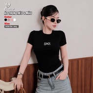 High Quality Embroidered Slim Fit T-Shirt A87 - A88 - A89 - A90 | Western Rabbit