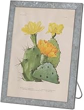 Dulton RN-0400-A3 Galvanized Frame Stand A3 Heavy Duty Boned Galvanized Frame Picture Frame Poster F