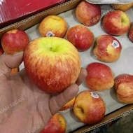 Buah-Buahan!! buah apel envy kecil 1kg