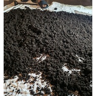 [10KG] 1KG X 10Bag | Peat Moss Tanah Semaian Untuk Tanaman | Tanah Semaian PeatMoss | Tanah Berkuali