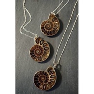 1Pc Natural Very Old Fossil Ammonite Pendant Opalescent Available With Silver Chain.