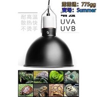 爬寵深桶燈罩5.58.5寸陸龜爬蟲缸加熱陸龜箱UVB變色龍UVA高反射
