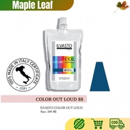 Sinergia ILvasto C.O.L (Colour Out Loud) Cat Rambut 200ml