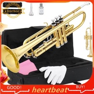 [Hot-Sale] Mouthpiece 7C,  Standard Trumpet for Beginners, Trumpet for Students, Brass Instruments G