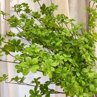 High quality rubber heather branches, decorative decor