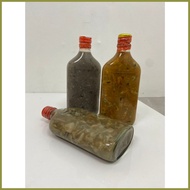 ☪ ◭ ▤ BAGOONG SISI TALABA/ AMAHONG  / GINAMOS DILIS / 375ml  '' PINOY'S FAVORITE BAGOONG