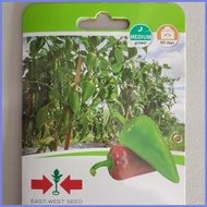 ▤ ✨ ❏ SULTAN F1 HYBRID SWEET PEPPER / BELL PEPPER / ATSAL (100 SEEDS) by EAST WEST SEED