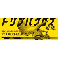 Major Craft  Triple Cross Eging 2 Piece Rod TCX-862EH