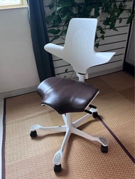 Designer Chair - Hag Capisco Puls 8020 with leather seat