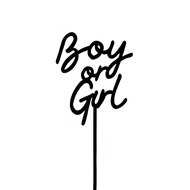 Acrylic Cake Topper Boy or Girl Baby Gender Reveal Party Genital Type Party Baby Boy Girl Boy Girl B