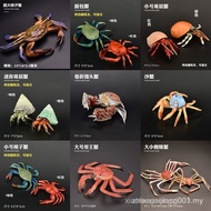 Children Simulation Animal Toy Model Crab Hermit Crab Shuttle Crab Spider Crab King Crab Steamed Bun