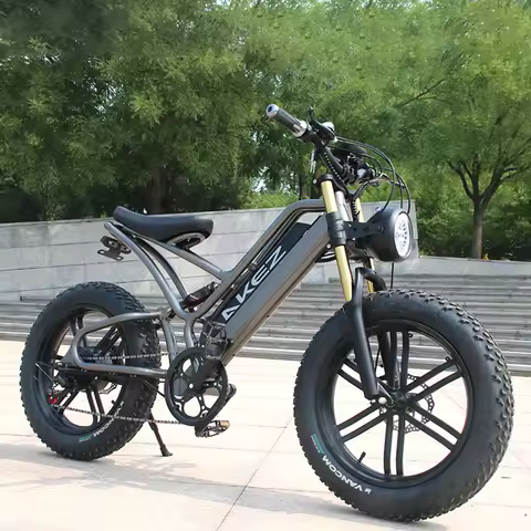 2023 New High Speed Ebike Fat Tire Electric Bicycle 750W 48V E-Bike 20 Inch E Mountain Bike Electric