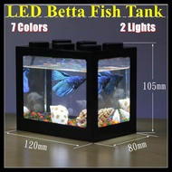 [Ship Today] LED Betta fish Tank Mini Aquarium Fighting Cylinder Rumble USB + LED Building block fish tank Spider Marimo (White Light+Black Aquarium)