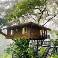博加哈馬迪塔的3臥室別墅 - 5000平方公尺/2間專用衛浴 (Tree Nature Resort)