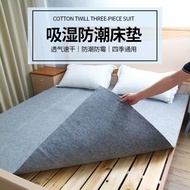 Moisture-Proof Mattress Mildew-Proof Drying Pad for Student Dormitory Special Moisture-Proof Breathable Foldable Thickened Moisture-Removing Moisture-Absorbing Pad