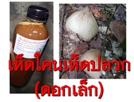 เชื้อเห็ดโคนเห็ดปลวก (ดอกเล็ก) ขนาด 500 มล.