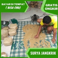 telur jangkrik alam agen jual telur jangkrik alam kualitas super 500gr