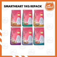 CATTO SmartHeart Dry Cat food Repack 1kg Pet Cat Food Kibble Makanan Kucing Berkualiti SmartHeart Ch