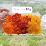 Cosmos Edible Flowers – 10g (Edible Flowers)