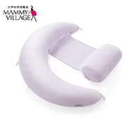 Blove 台灣 六甲村 10 in 1 炫涼馬卡龍全方位孕婦哺乳枕 #MV39014Z
