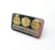 AIRWINGS | METAL PIN & WOVEN PATCH | NATIONAL TASK FORCE (NTF)