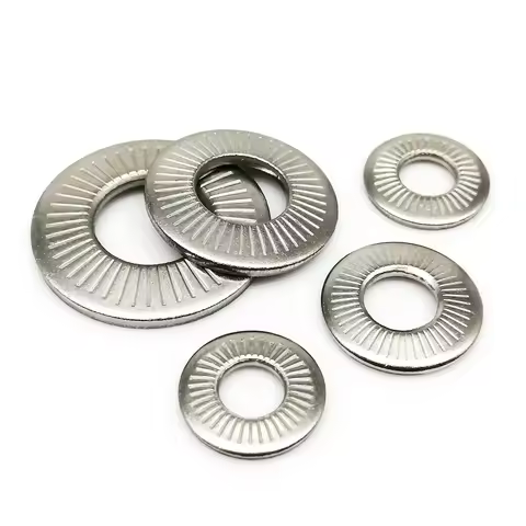 2/50 M3 M4 M5 M6 M8 M10 M12 M16 NFE25-511 A2 304 Stainless Steel Disc Spring Serrated Lock Washer Co