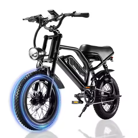 VDL Mountain Electric Bike , 16" Fat Tire Ebike, Wider Seat 800W Peak Motor, Removable Battery, Fron