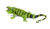 Safari Ltd. Iguana Figurine - Lifelike 11" Model Figure - Educational Toy for Boys, Girls, and Kids 