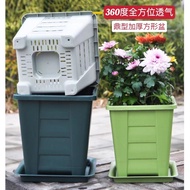 Good Things Recommended Thickened Square Pot Aoyama Ding Type 360 Degree Breathable Root Control Res
